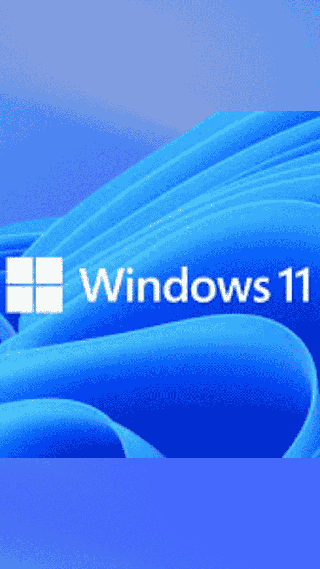 Windows 11 Windows 11